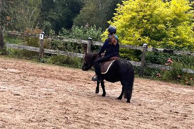 LOUSTIC DE PONTARLEN