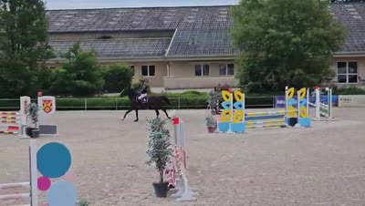 LONYX DE LA PLAINE
