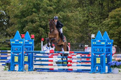LEXINGTON DU LANDRAN