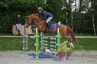 LEXINGTON DE JEDDE