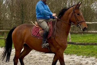 LAVIE ESTBELLE DU FEU