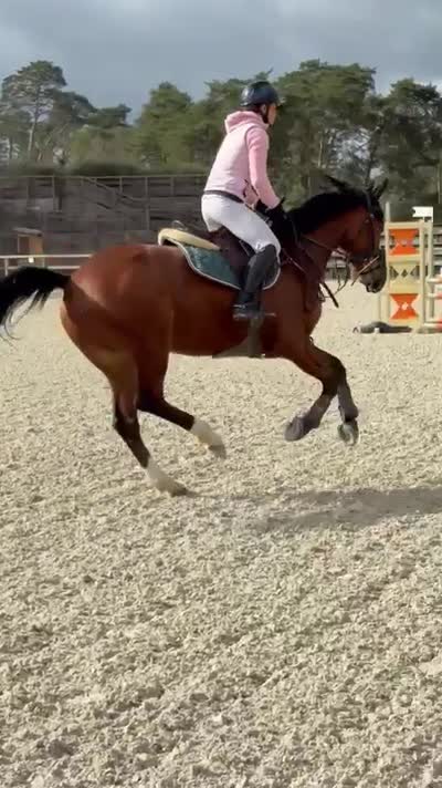 LIBIDO DUBOISDELANOUE