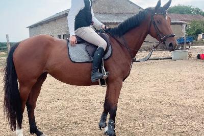 LADY MILLION DE NAJU