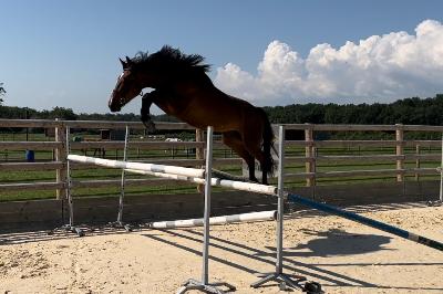 LEMPICKA DES BRUYERES