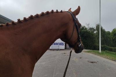 LITHIUM SAINT BLAIZE