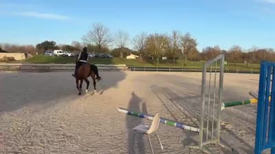 LOUTCHA DE RAINECOURT