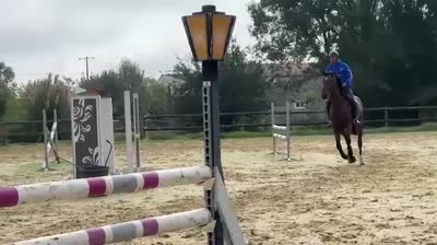 LOUTCHA DE RAINECOURT