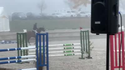 LOUTCHA DE RAINECOURT