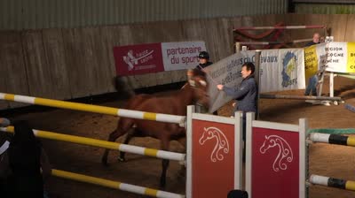 MONARK DU CHARMEUX II