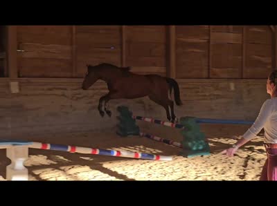 MIMINOU DES CHABANNES