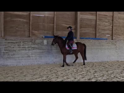 MIMINOU DES CHABANNES