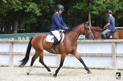 MOOD FOR LOVE DU LIN