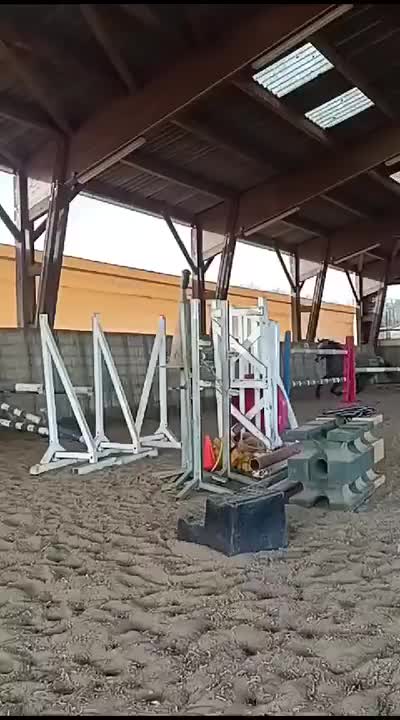 MISS DEXTER DE CLOUD