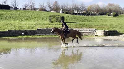 MYOSIS DE LA GIRVARIE