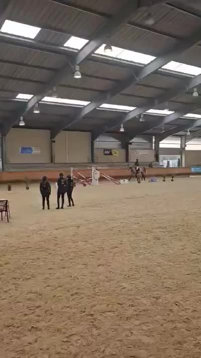MAGIC BAMBI DES ECLA