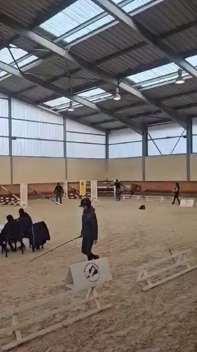MAGIC BAMBI DES ECLA