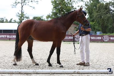 National PFS 2 ans