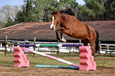 MALEFIQUE DU VAL D'Y