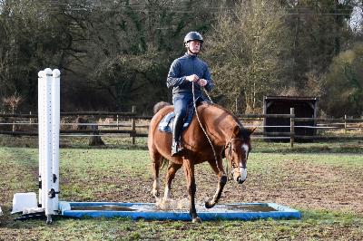 MALEFIQUE DU VAL D'Y