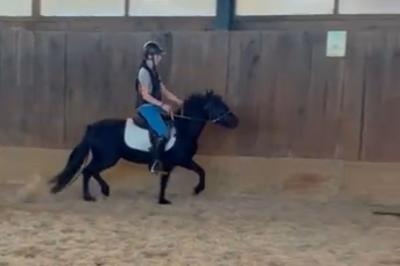 MARA JADE DU COTTAGE