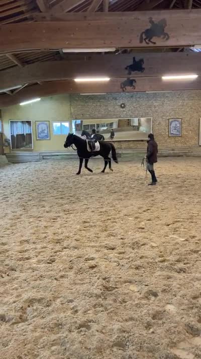 MISTY DE ST BAUDIERE