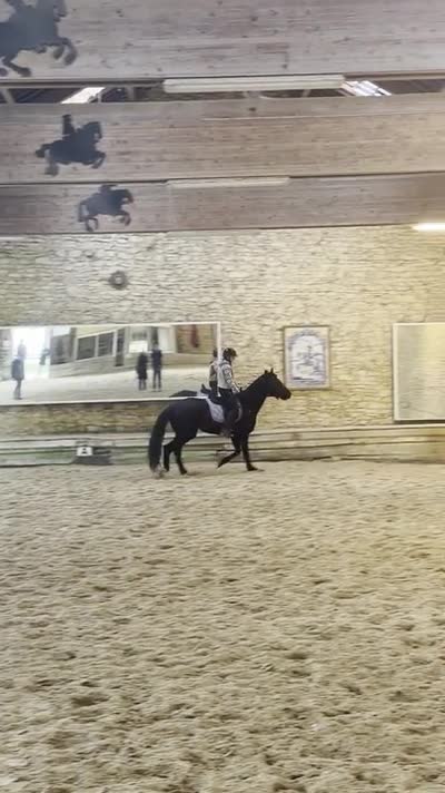 MISTY DE ST BAUDIERE