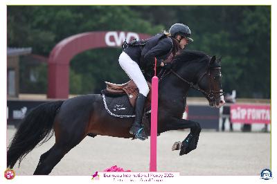 MORNINGSTAR DU HOMMET