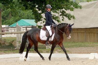 MORNINGSTAR DU HOMMET