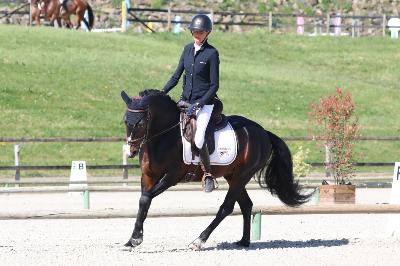 MORNINGSTAR DU HOMMET