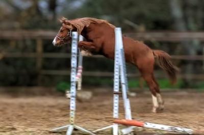 le geste
