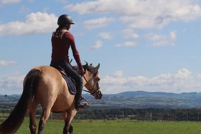 MIRAB'ELLE DES LITTES