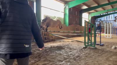 MIRAB'ELLE DES LITTES