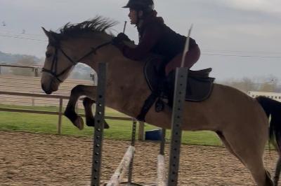 MIRAB'ELLE DES LITTES