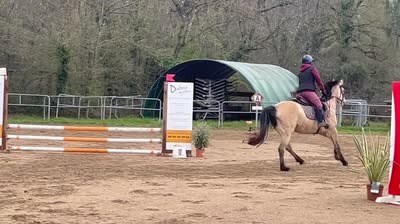 MIRAB'ELLE DES LITTES