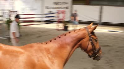 MANILLE DE L&#039;ARTA