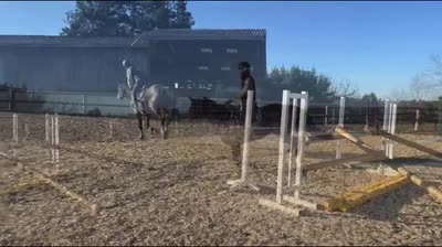 MYCASALL DES TERRISSE