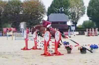 Saut mont&eacute;