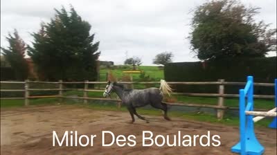 MILOR DES BOULARDS