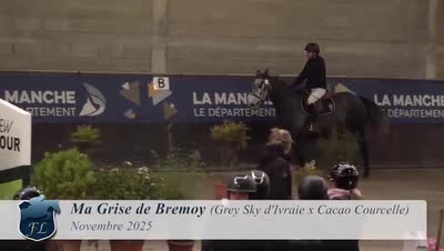 MA GRISE DE BREMOY