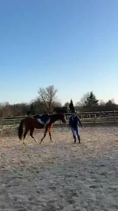 MYRRHA DES FONTAINES