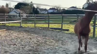 MYRRHA DES FONTAINES