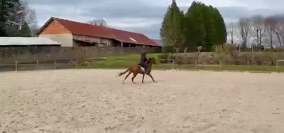 MYRRHA DES FONTAINES