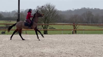 MISTRAL DU ROCHEREAU