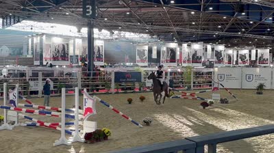 MIRLIFLOR DE CASTILLE