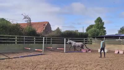 MOON FLOWER DE KAHOT