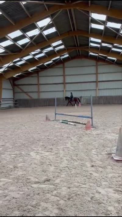 MARCO POLO D'AMA LINE