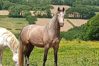 avant travail le 30/05/26