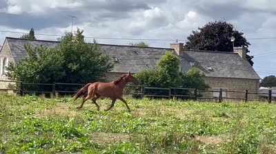 MONPTICHOU DE VARENNE