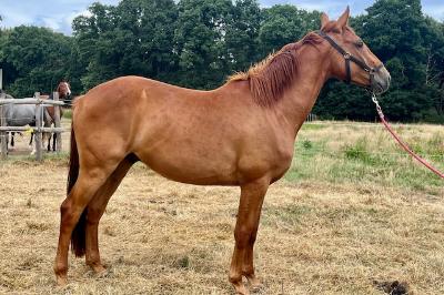 MONPTICHOU DE VARENNE