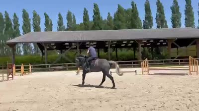 METEORITE DE MAGNY
